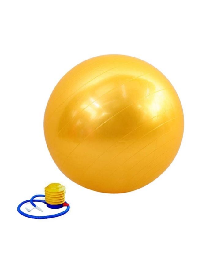 Balance Training Swiss Ball With Air Pump Set 95cm