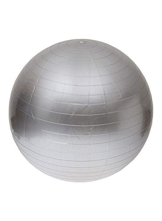 Swiss Ball With Pump Set 65cm