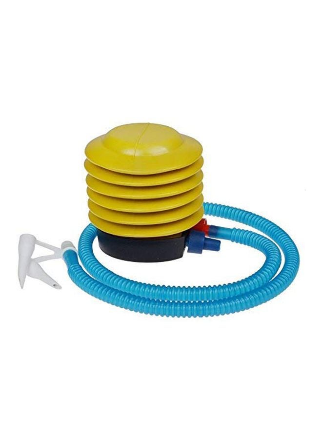 Swiss Ball With Pump Set 65cm