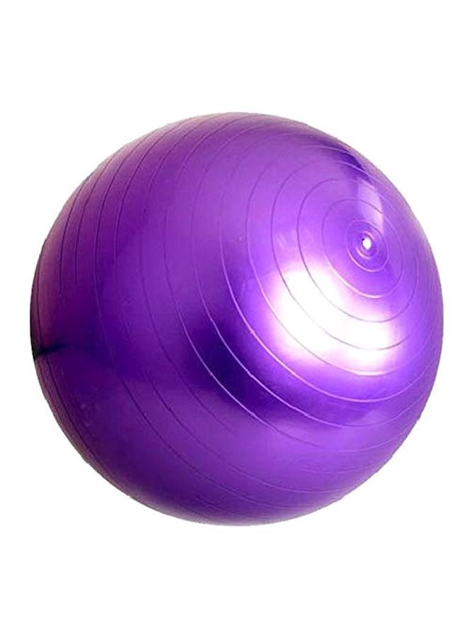 Swiss Ball With Pump Set 65cm