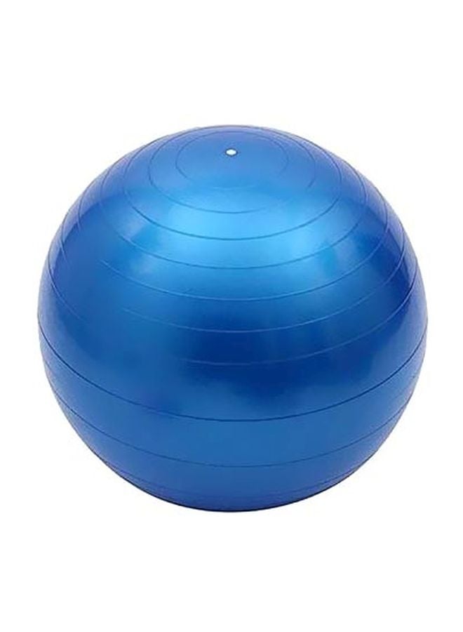 Swiss Ball 65cm