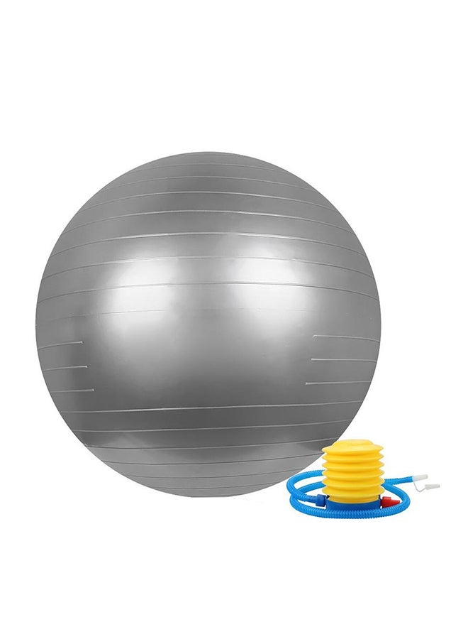 Anti-Burst Swiss Ball With Pump 65cm