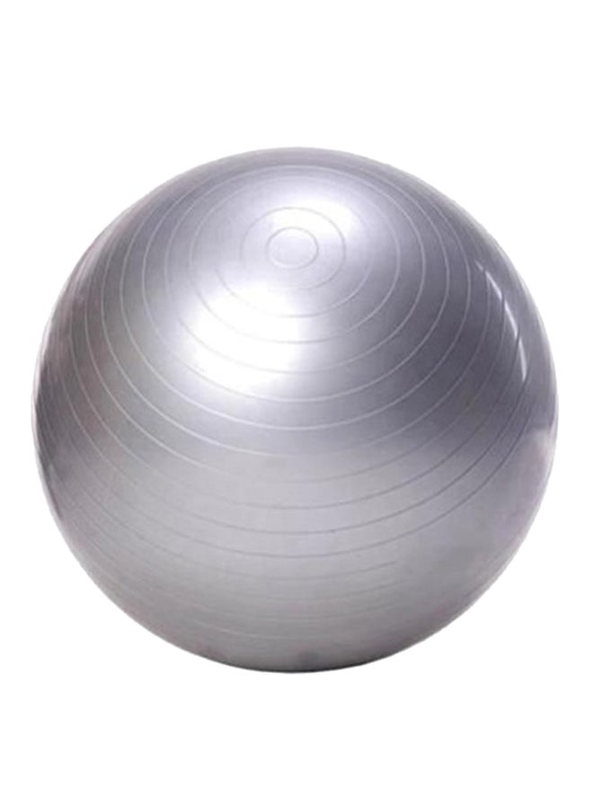 Anti-Burst Slip Fitness Ball 55Cm