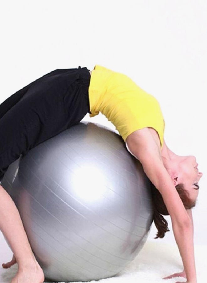 Anti-Burst Slip Fitness Ball 55Cm