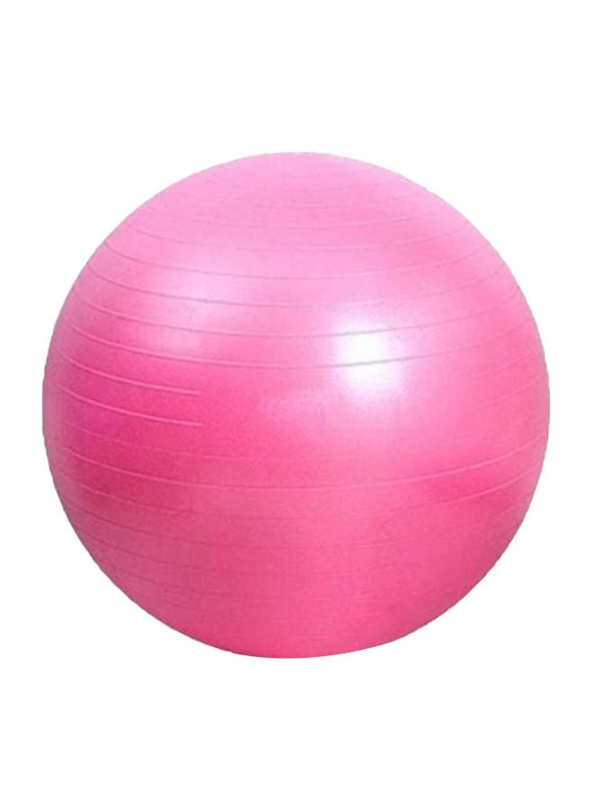 Fitness Ball With Air Pump 65cm