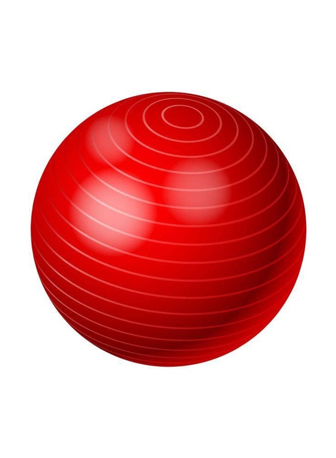 Balance Stability Pilates Ball With Air Pump 65cm