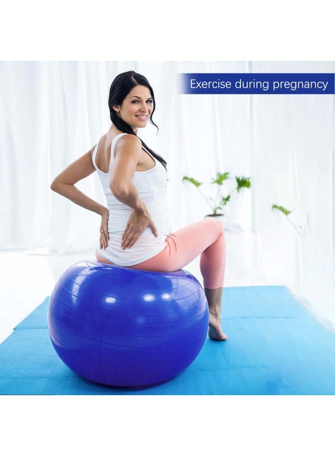Anti-Burst Yoga Ball With Hand Pump 65cm