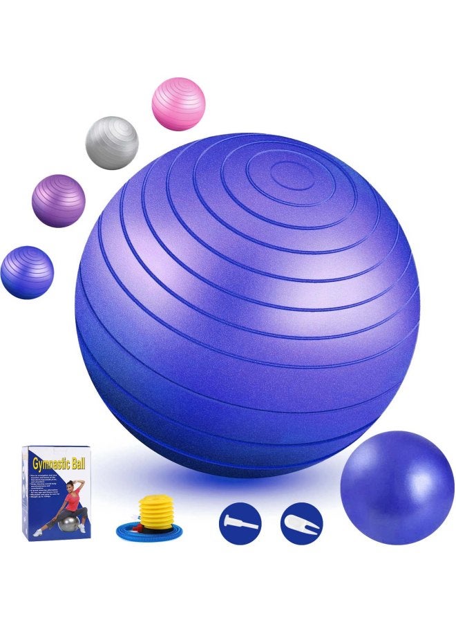 Anti-Burst Yoga Ball With Hand Pump 65cm