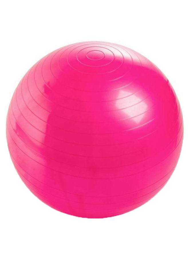 Anti-Burst Yoga Swiss Ball 65cm