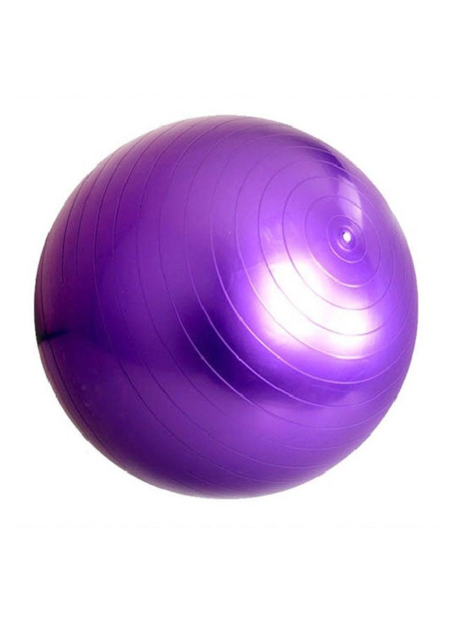 Anti Burst Swiss Ball 65cm