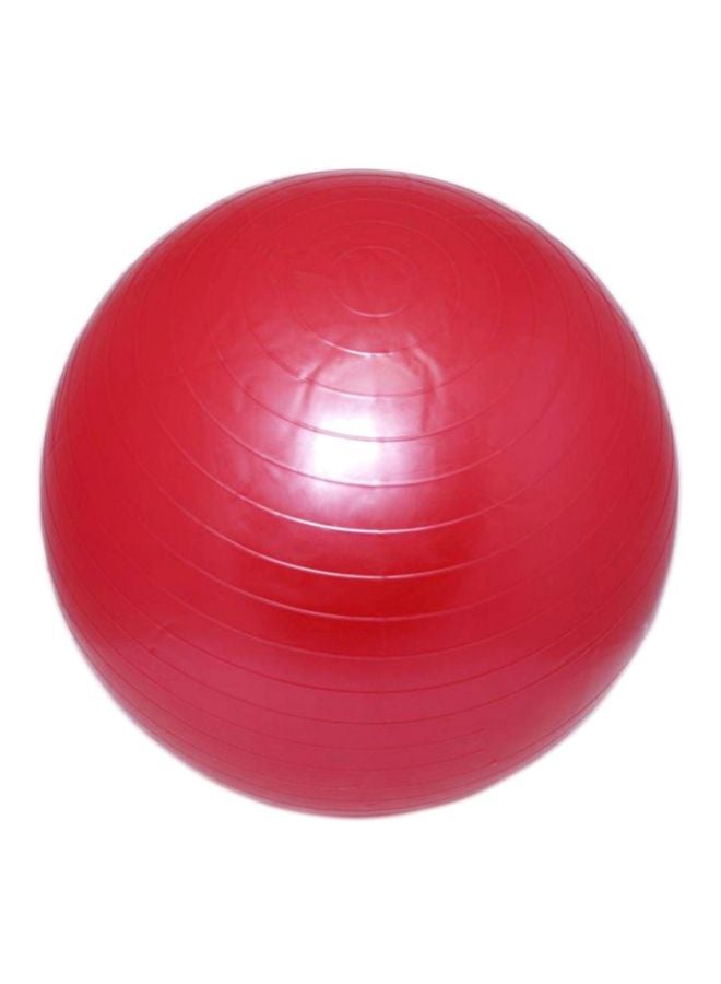 Yoga Swiss Ball 55cm