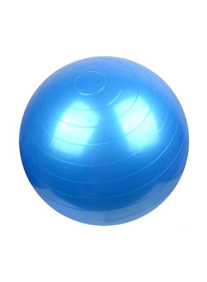 Yoga Exercise Swiss Ball 65cm