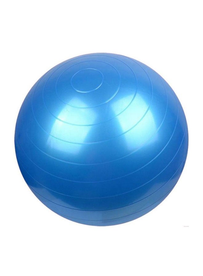 Anti Burst Swiss Ball 65cm