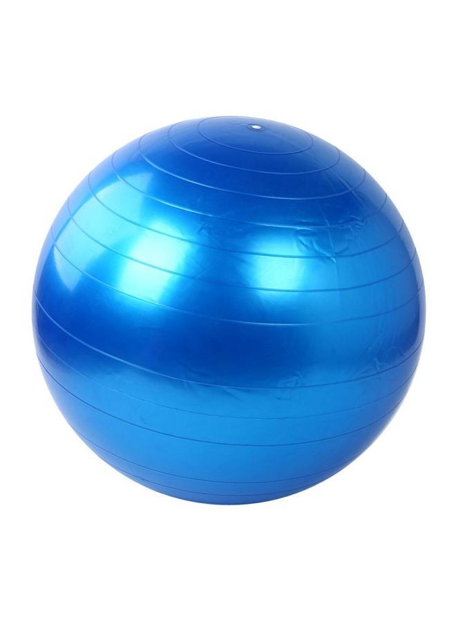 Balance Training Swiss Ball With Air Pump Set 65cm