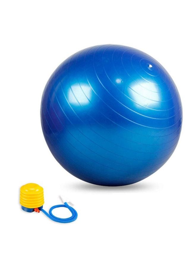 Balance Training Swiss Ball With Air Pump Set 65cm