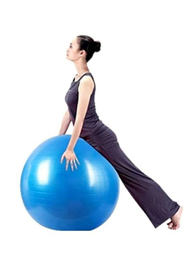 Balance Training Swiss Ball With Air Pump Set 65cm