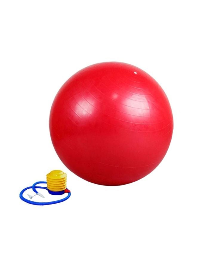 Yoga Exercise Swiss Ball With Pump 65cm