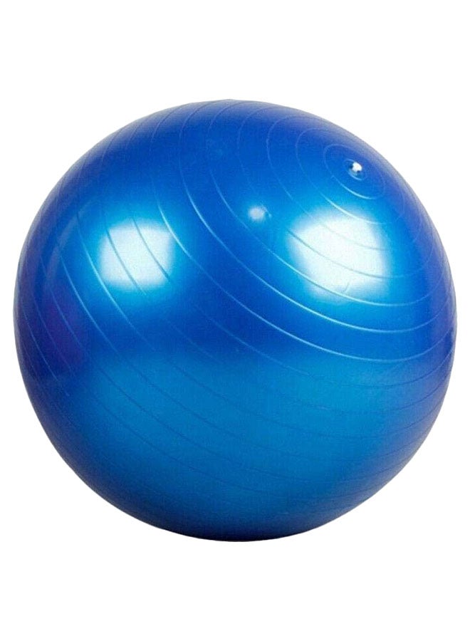 Bodyrip Exercise Gym Yoga Swiss Ball 65cm