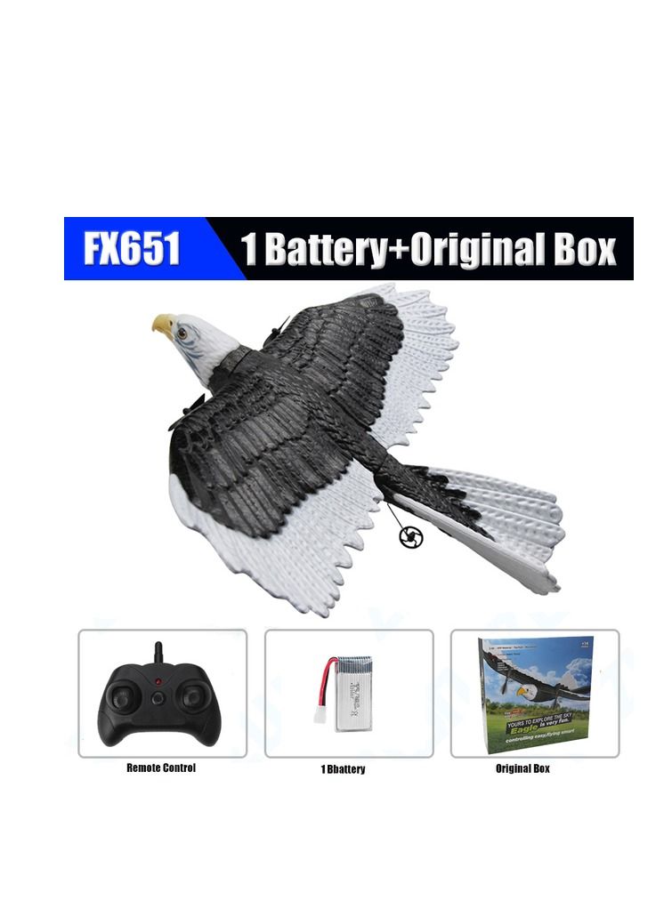 RC Plane FX 651 Wingspan Eagle Remote Control Hobby Glider Airplane Toys for Children