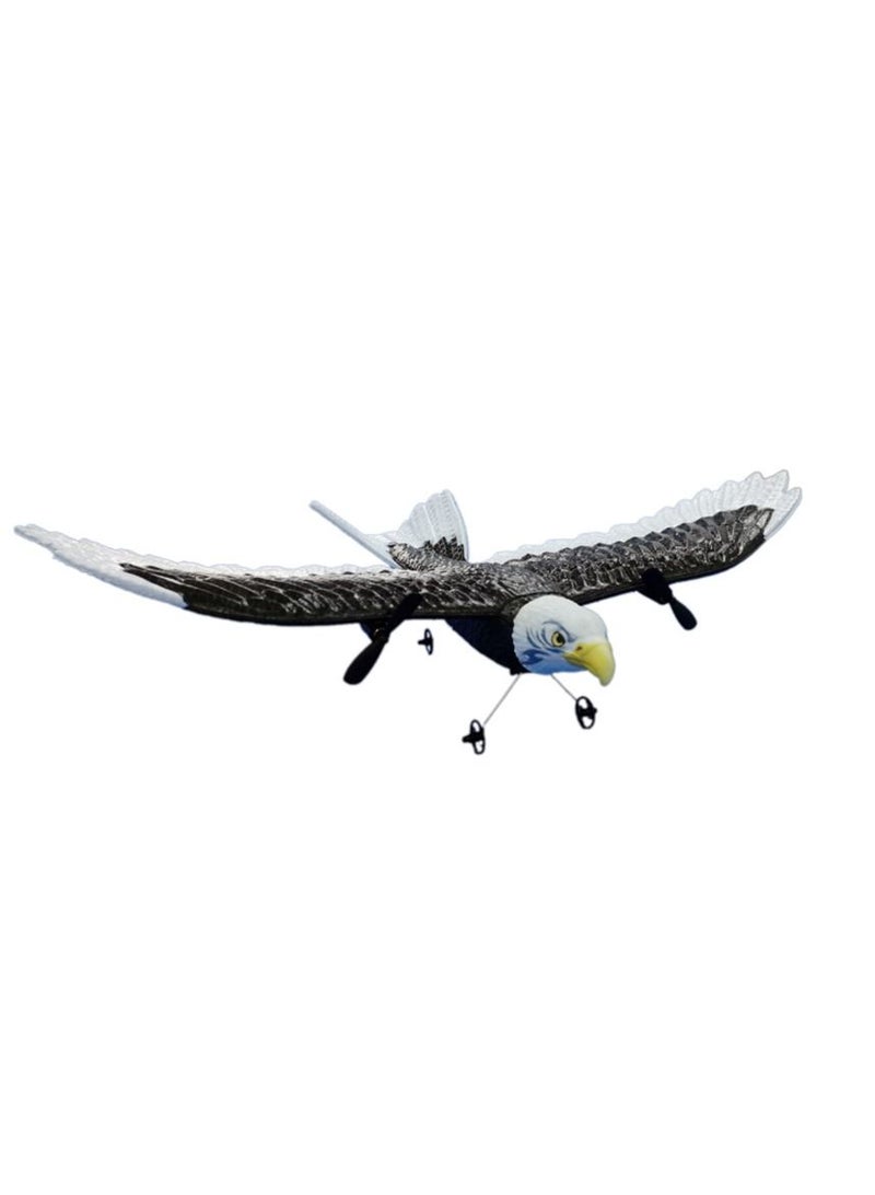 RC Plane FX 651 Wingspan Eagle Remote Control Hobby Glider Airplane Toys for Children