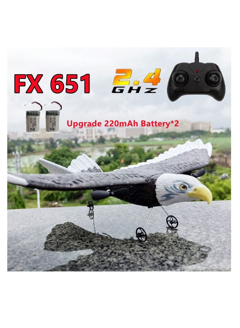 RC Plane FX 651 Wingspan Eagle Remote Control Hobby Glider Airplane Toys for Children