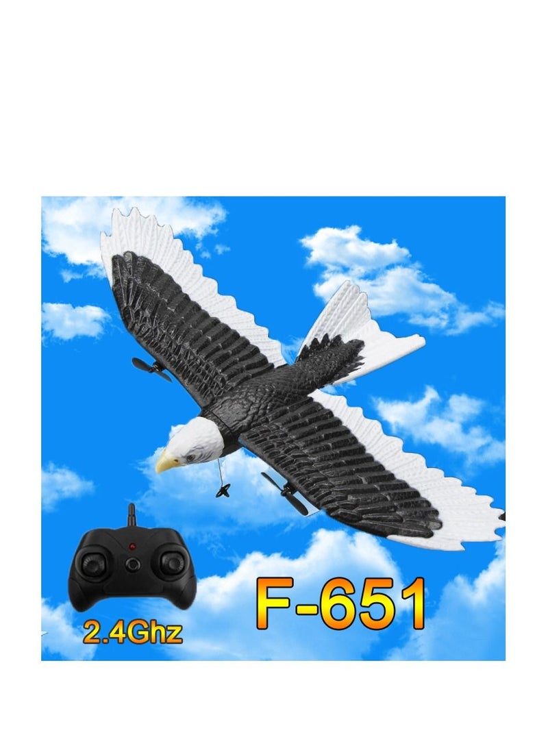 RC Plane FX 651 Wingspan Eagle Remote Control Hobby Glider Airplane Toys for Children