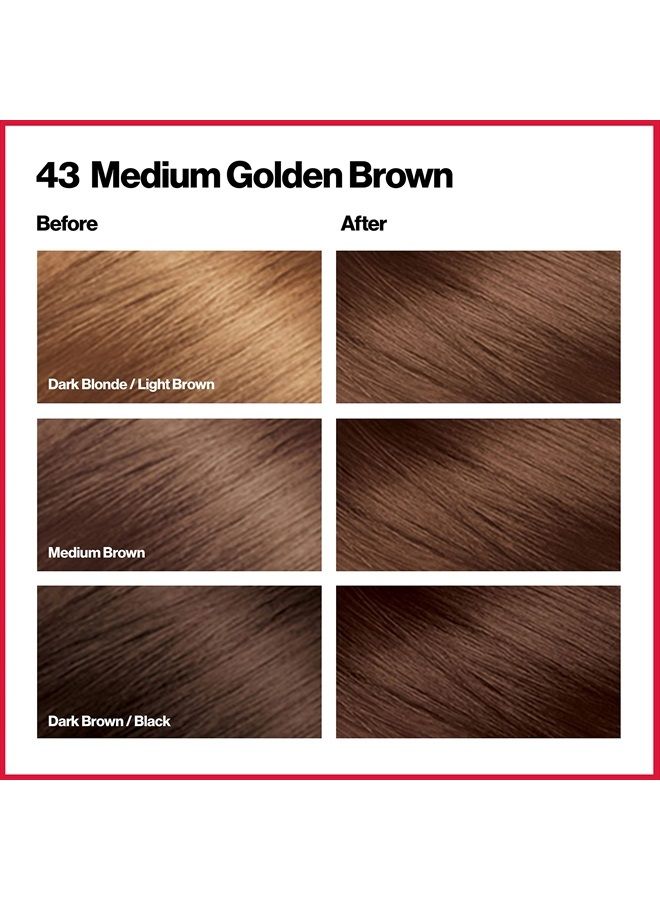 Permanent Hair Color by Revlon, Permanent Hair Dye, Colorsilk with 100% Gray Coverage, Ammonia-Free, Keratin and Amino Acids, 43 Medium Golden Brown, 4.4 Oz (Pack of 3)