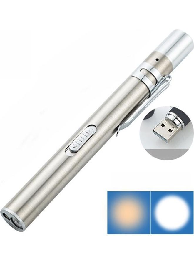 LED Stainless Steel Pupil Pen Flashlight