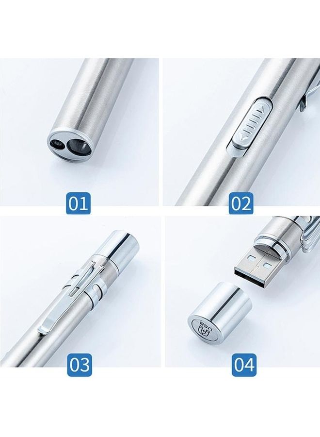 LED Stainless Steel Pupil Pen Flashlight