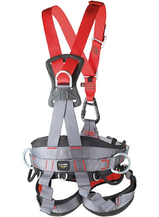 Golden Top Plus Harness S-L