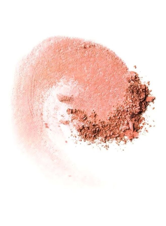 Make Up Powder Blush Gina