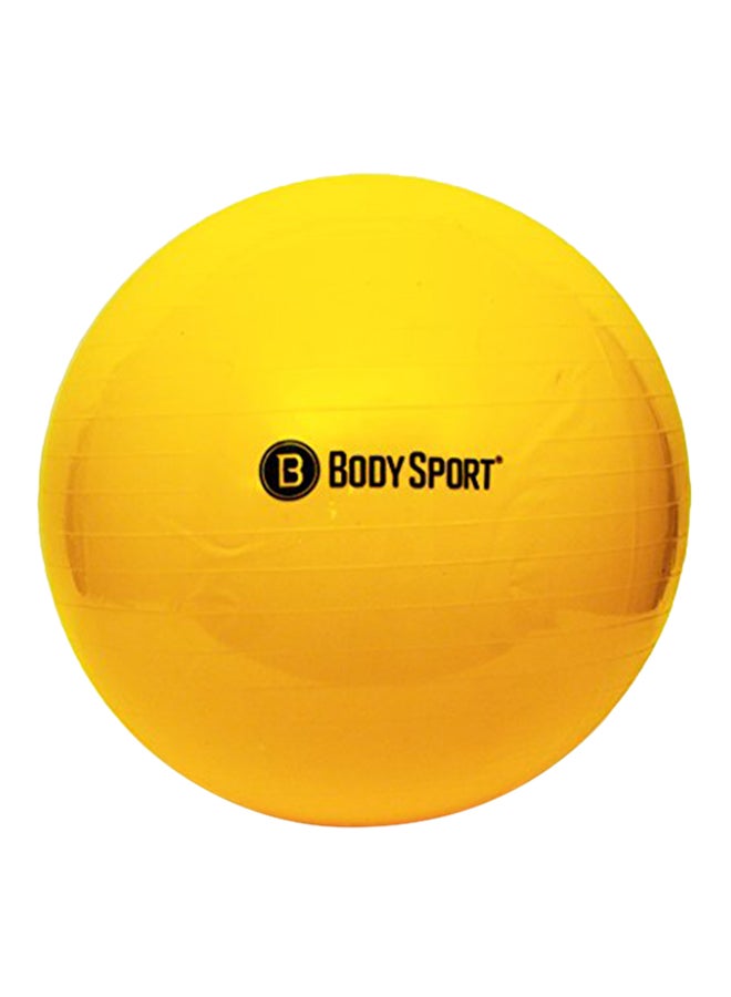 Exercise Ball With Pump 1X1X1inch