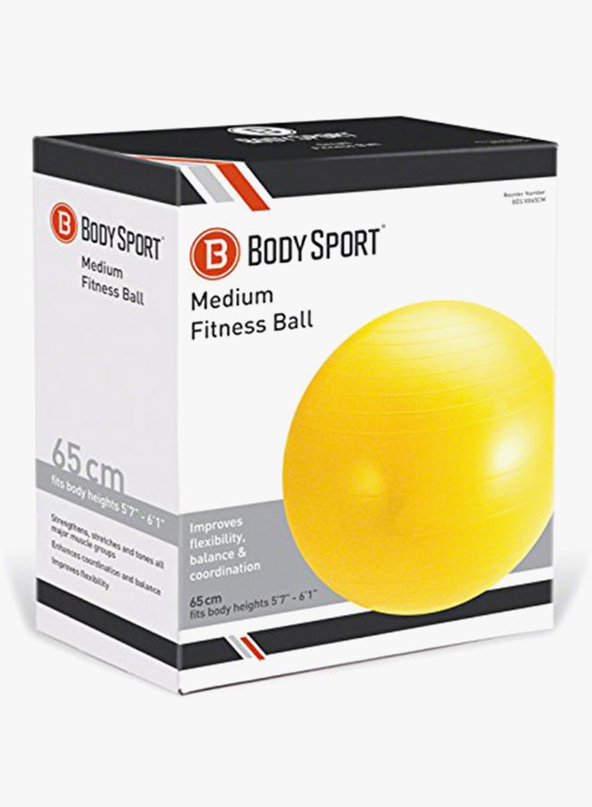 Exercise Ball With Pump 1X1X1inch