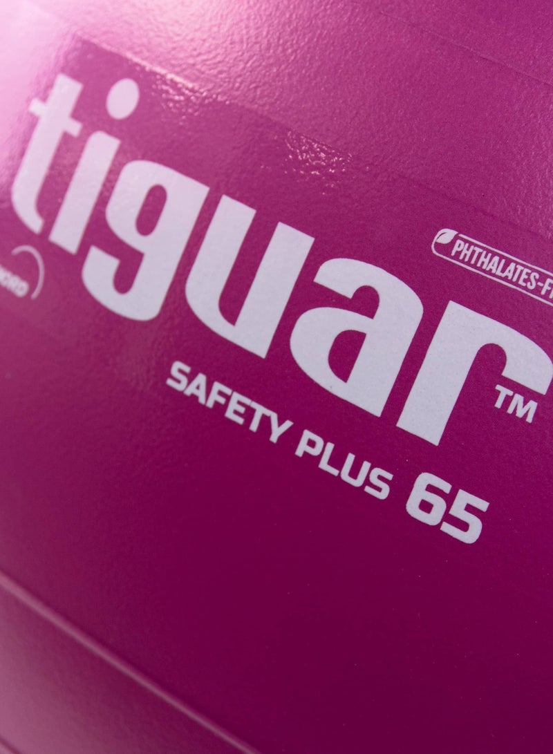 Tiguar Gym Ball Safety Plus 65 Cm