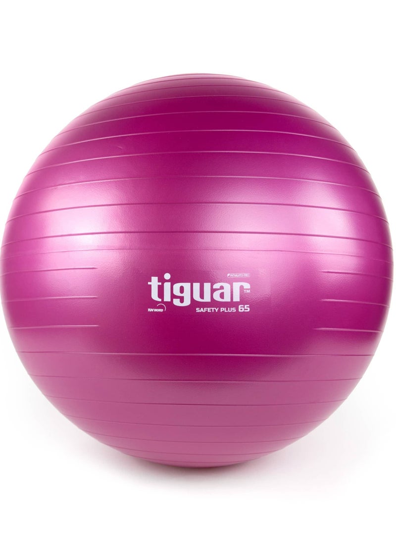 Tiguar Gym Ball Safety Plus 65 Cm