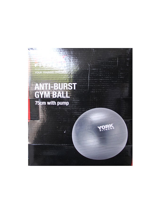 Anti-Burst Gym Ball 75cm