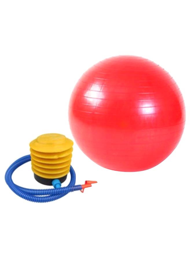 Rose Balance Stability Pilates Ball With Air Pump 65cm