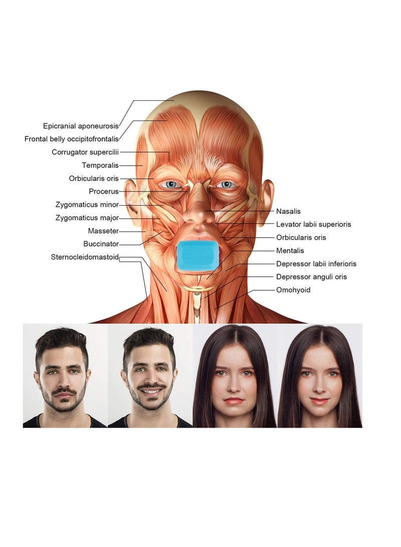 Jaw Exerciser Face and Neck Define Your Jawline Slim Tone