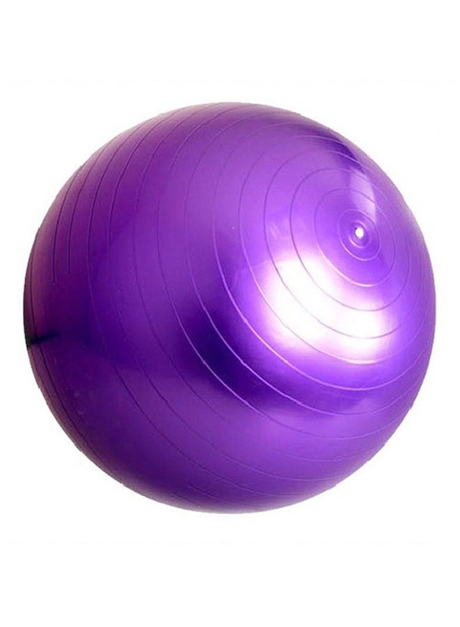 Anti Burst Gym Exercise Ball With Air Pump