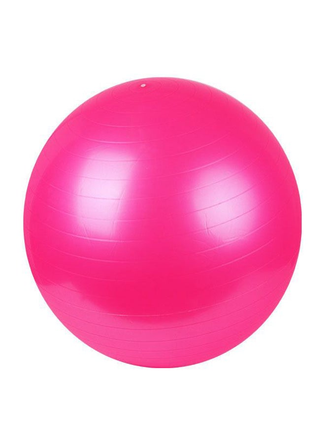 Aerobic Exercise Ball With Air Pump
