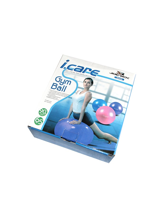 I Care Gym Ball 65cm