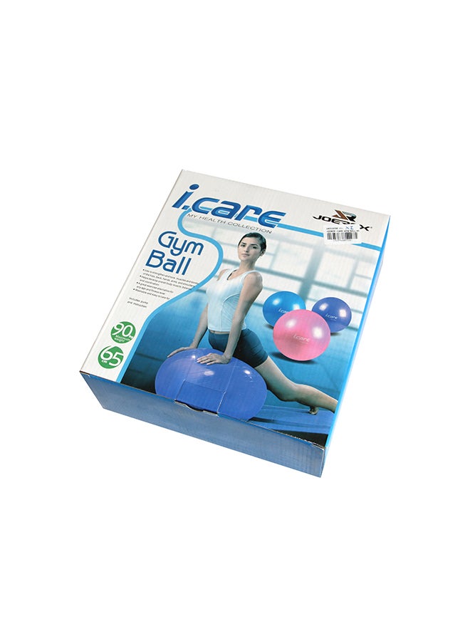 I Care Gym Ball 65cm