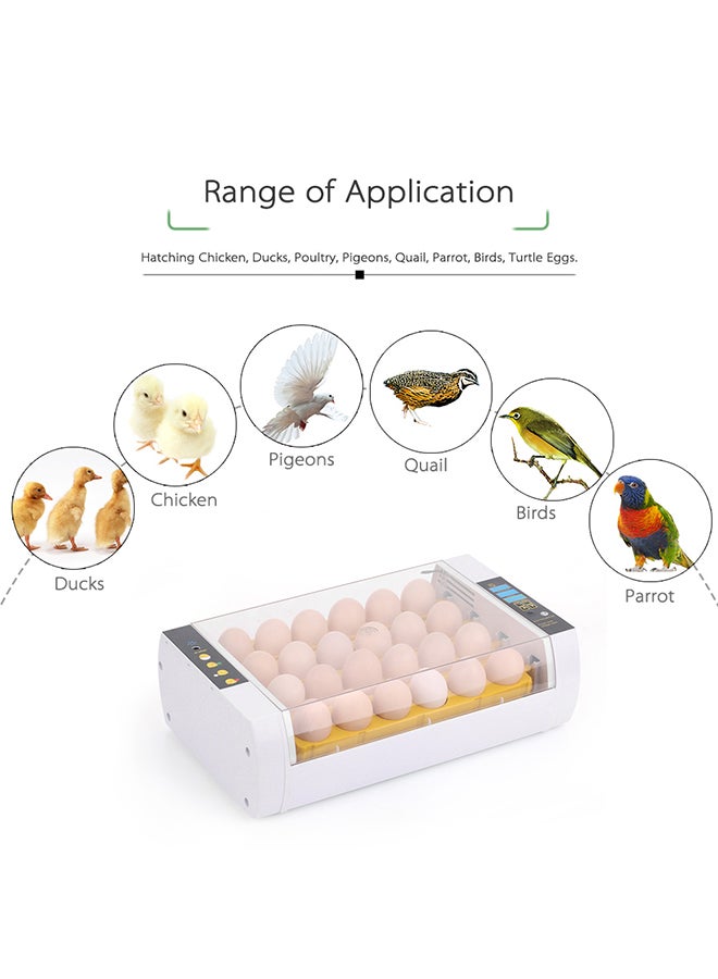 24-Eggs Automatic Egg Incubator VG-2 Clear/White