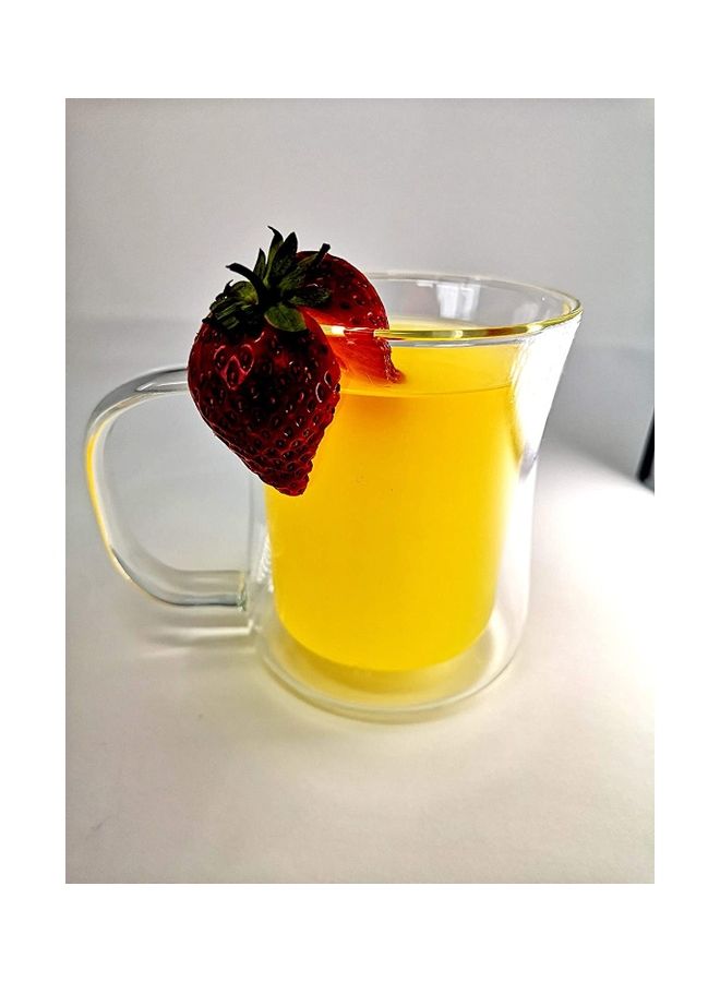 Double Walled Glass Mug Clear