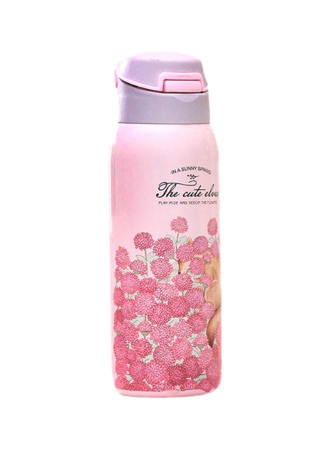 Double Wall Thermos Water Bottle With Straw Assorted 500ml