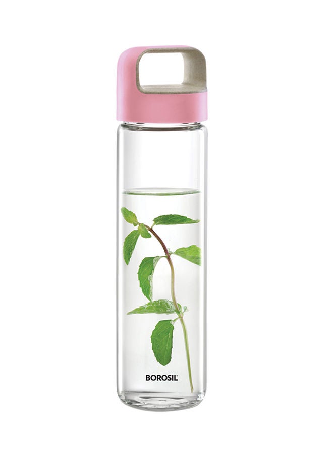 Neo Glass Bottle With Lid Clear/Pink/Green