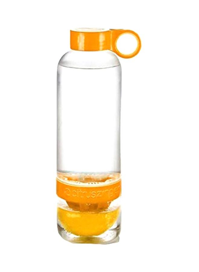 Fruit Infuser Water Bottle Orange