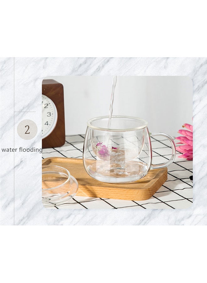 Transparent Glass Cup Clear