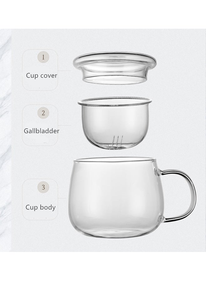 Transparent Glass Cup Clear