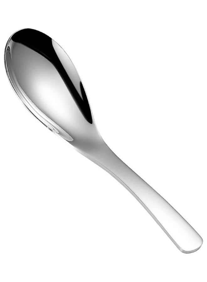 Stainless Steel Spoon Silver 4x20.3x8.3cm